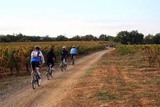 Spain-Galicia-Burgos to Ponferrada Cycling along the Camino